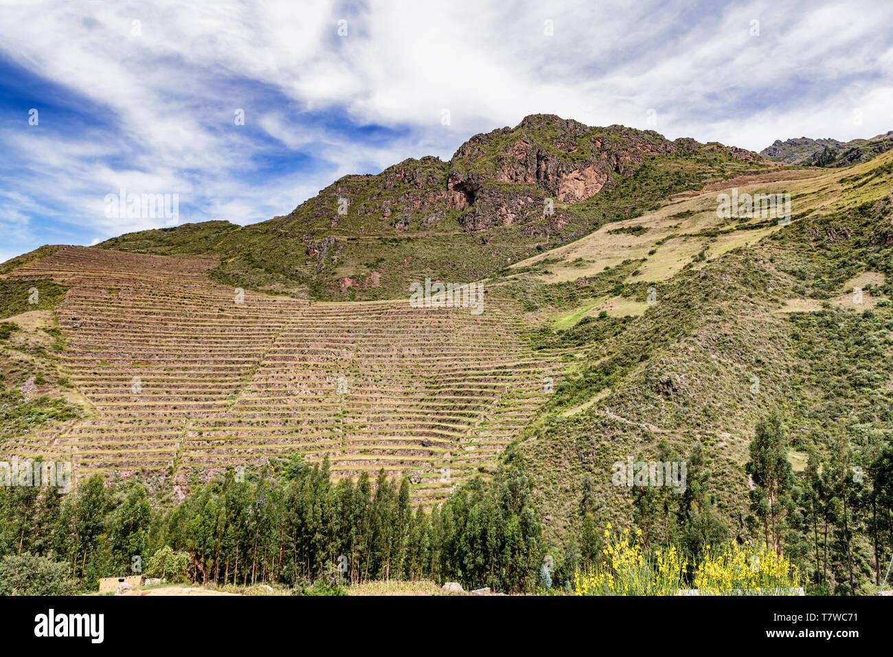 Blick auf die Landwirtschaft Inca Pflanzen landwirtschaftlichen Terrassen im Archäologischen Park in Heiligen tal der Inkas, Pisaq in der Nähe von Cusco in Peru. Stockfoto