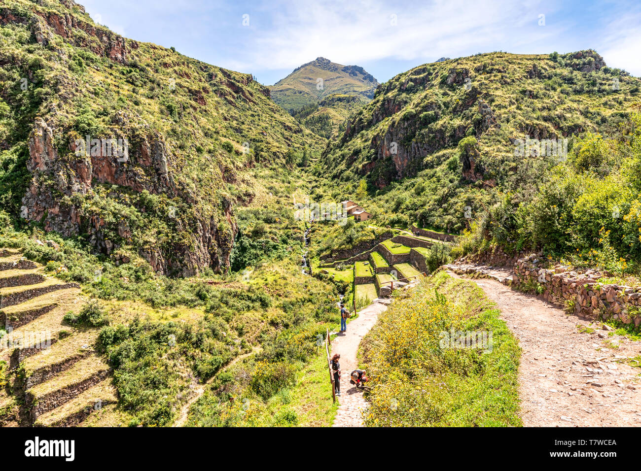 Blick auf die Landwirtschaft Inca Pflanzen landwirtschaftlichen Terrassen im Archäologischen Park in Heiligen tal der Inkas, Pisaq in der Nähe von Cusco in Peru. Stockfoto