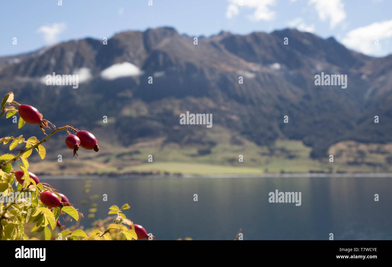 Neuseeland Bergblick. Farben rund um den See Hawae. Stockfoto
