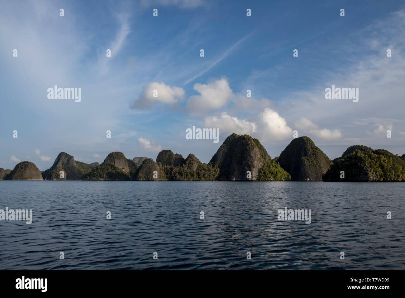 Karst Kalksteinformationen in Wayag Insel, Raja Ampat, West Papua, Indonesien. Stockfoto