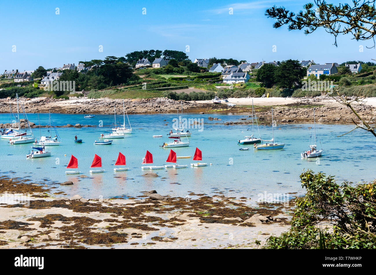 Insel Batz in der Bretagne Stockfoto