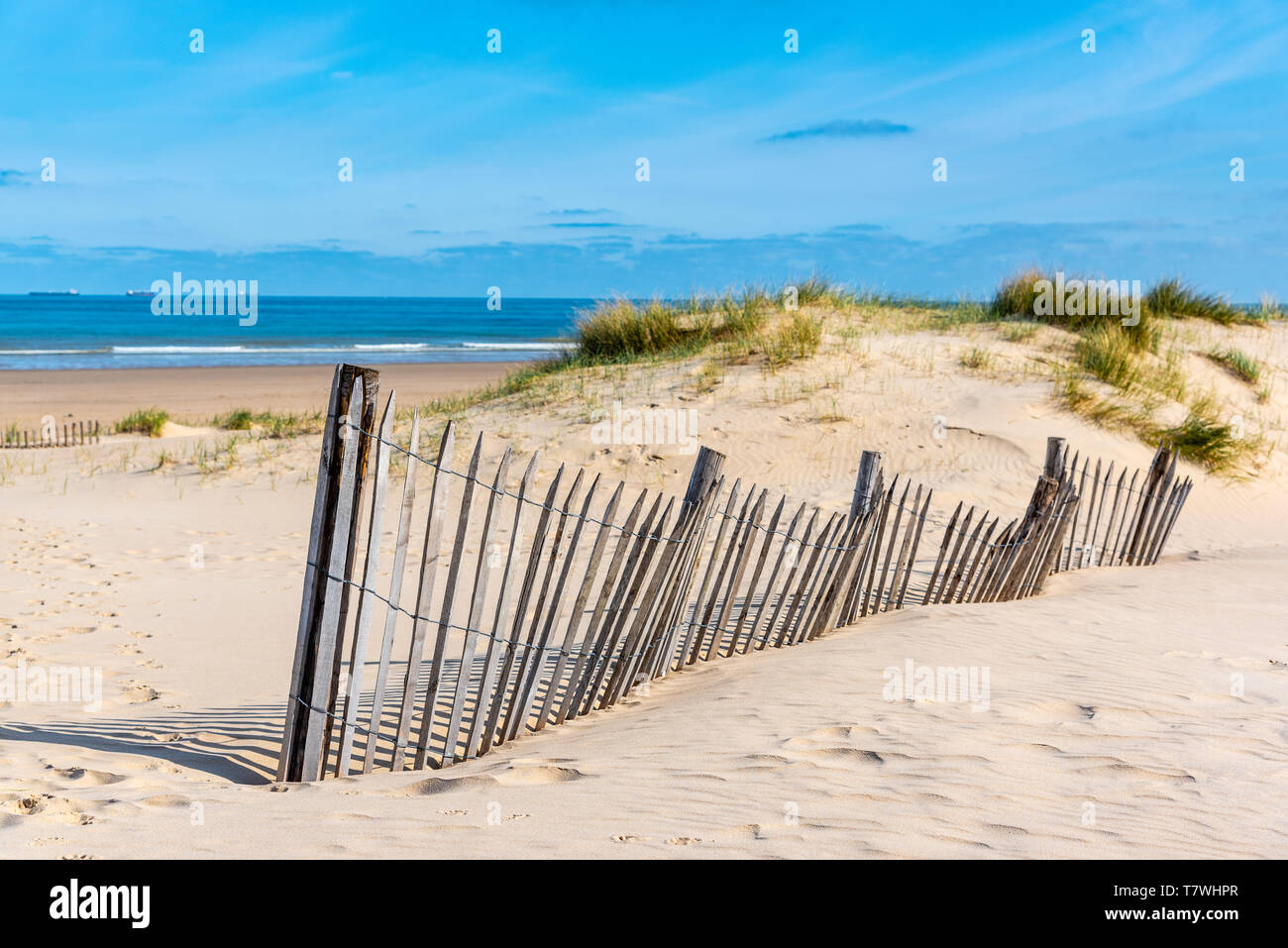 Chestnut Zaun an einem Strand im Norden Frankreichs Stockfoto