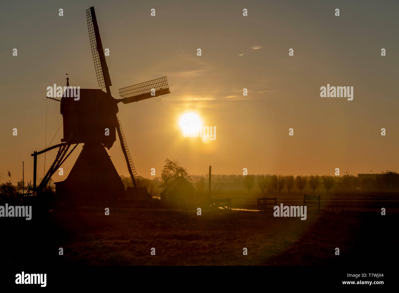 Niederländische Landschaft am frühen Morgen Sonnenaufgang erzeugen Silhouetten mit der Hintergrundbeleuchtung Stockfoto