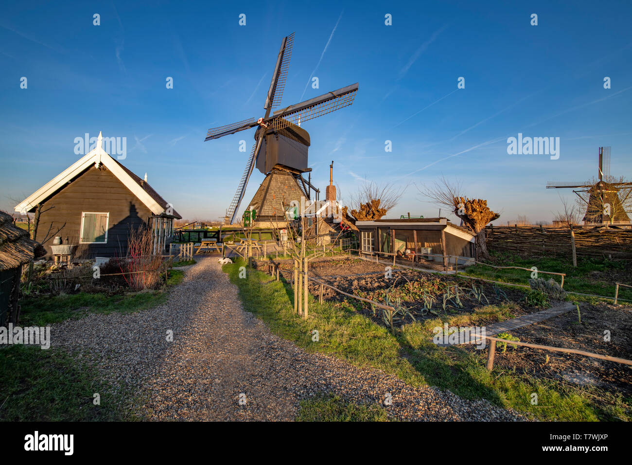 Frühen Sonnenaufgang auf der Windmühle Garten und Hof mit stabilen und Gemüsefeldern, Alblasserdam, Niederlande Stockfoto