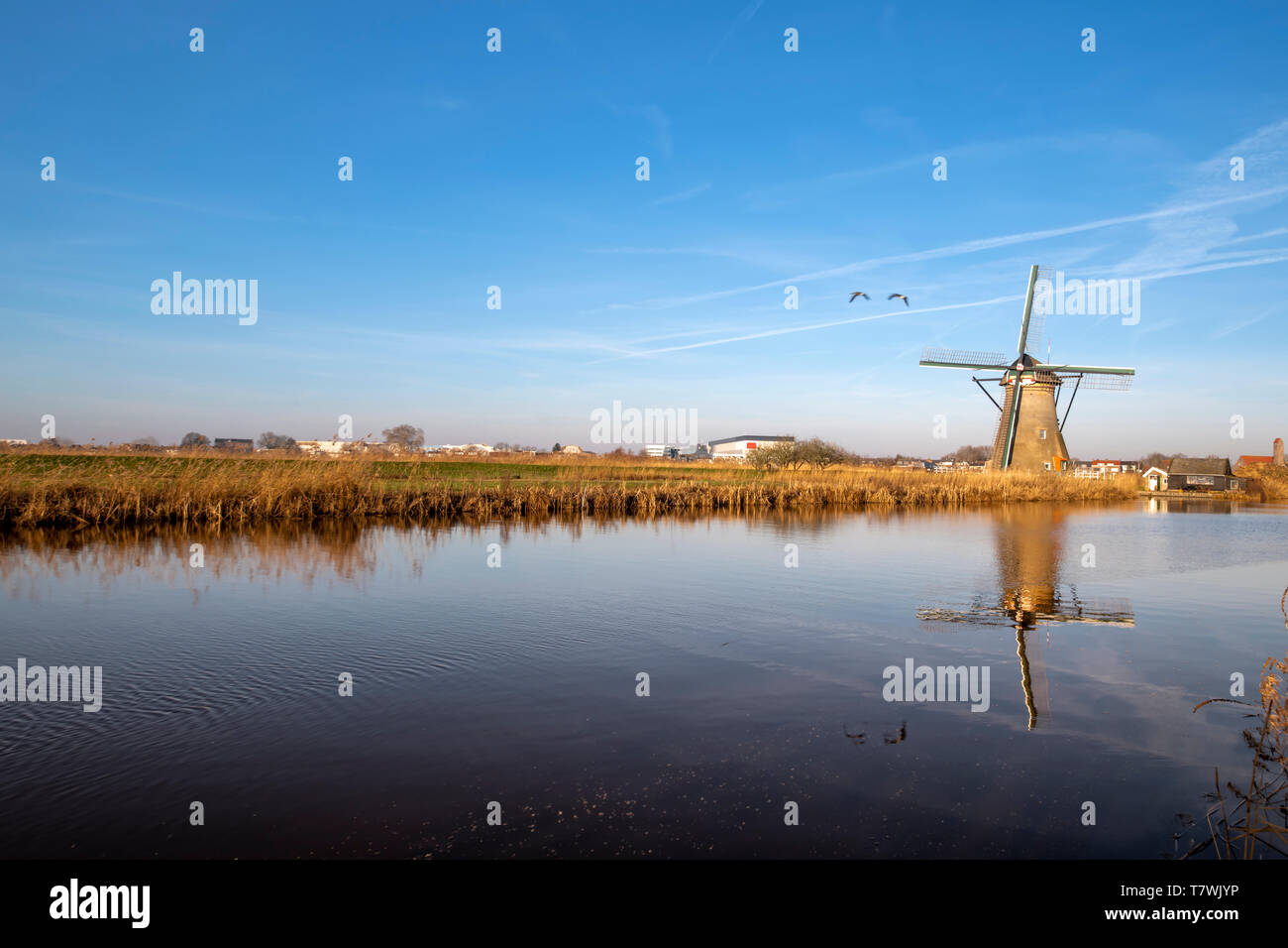 Holländische Landschaft in den frühen Morgen mit der Mühle spiegelt sich auf dem ruhigen Kanal bei Alblasserdam Stadt in der Nähe von Rotterdam, Niederlande Stockfoto