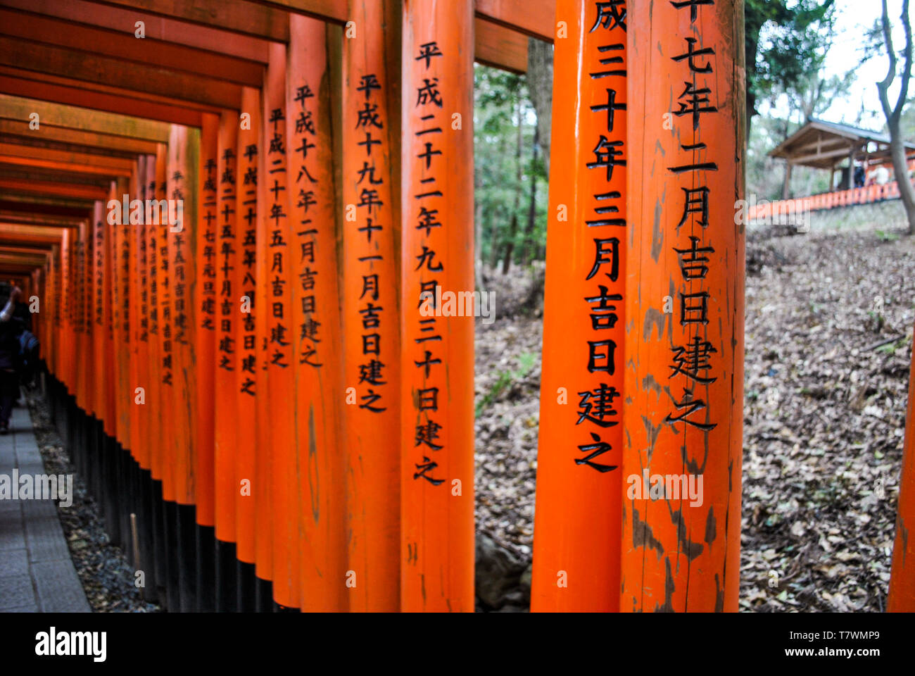 Schriften in der toriis von fushimi Inari Schrein. Kyoto. Japan. Stockfoto