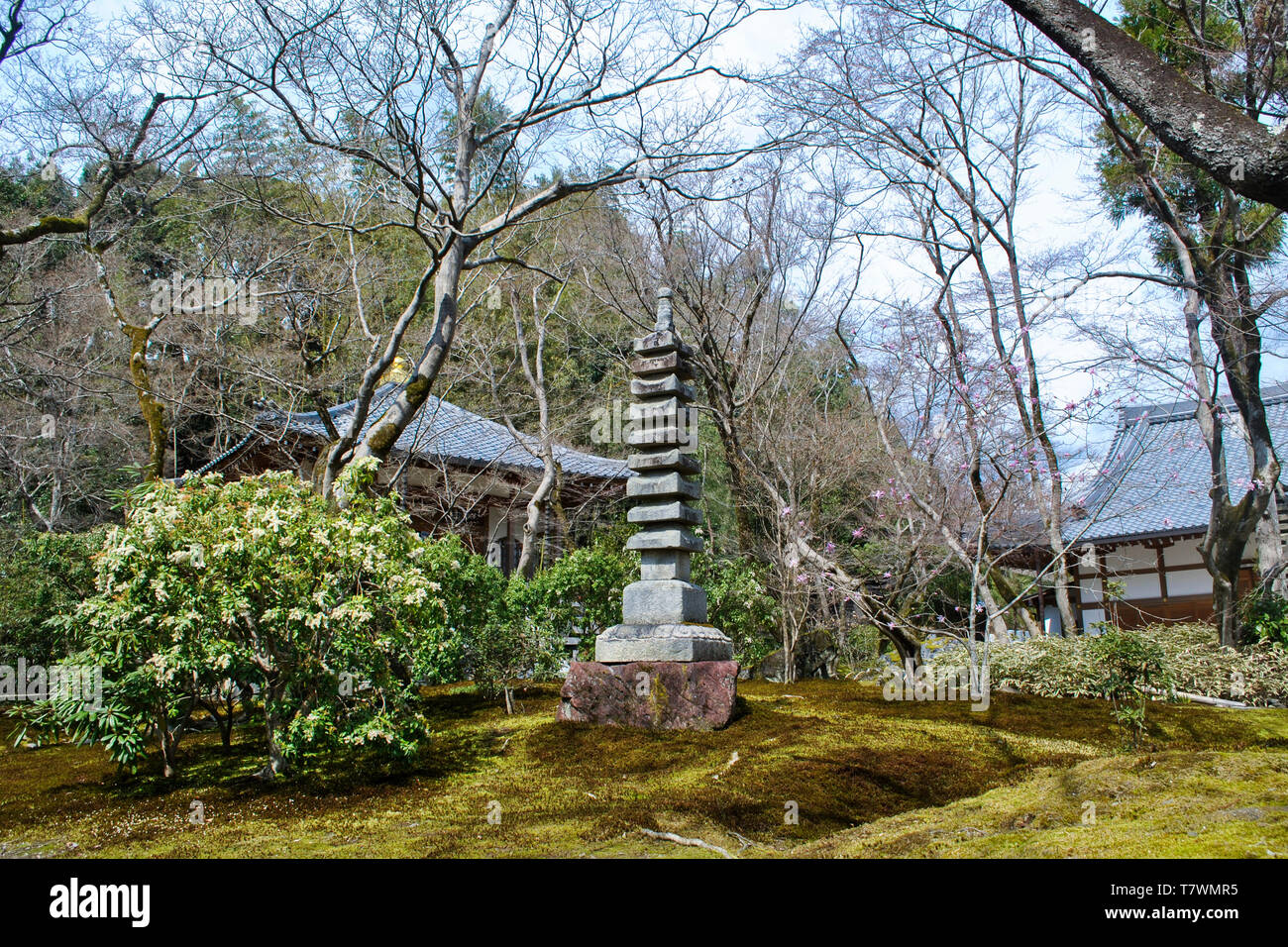 Zen Garten. Hogon-in Tempel, ein subtemple von Tenryu-ji Temple. Arashiyama, Kyoto. Japan. Stockfoto