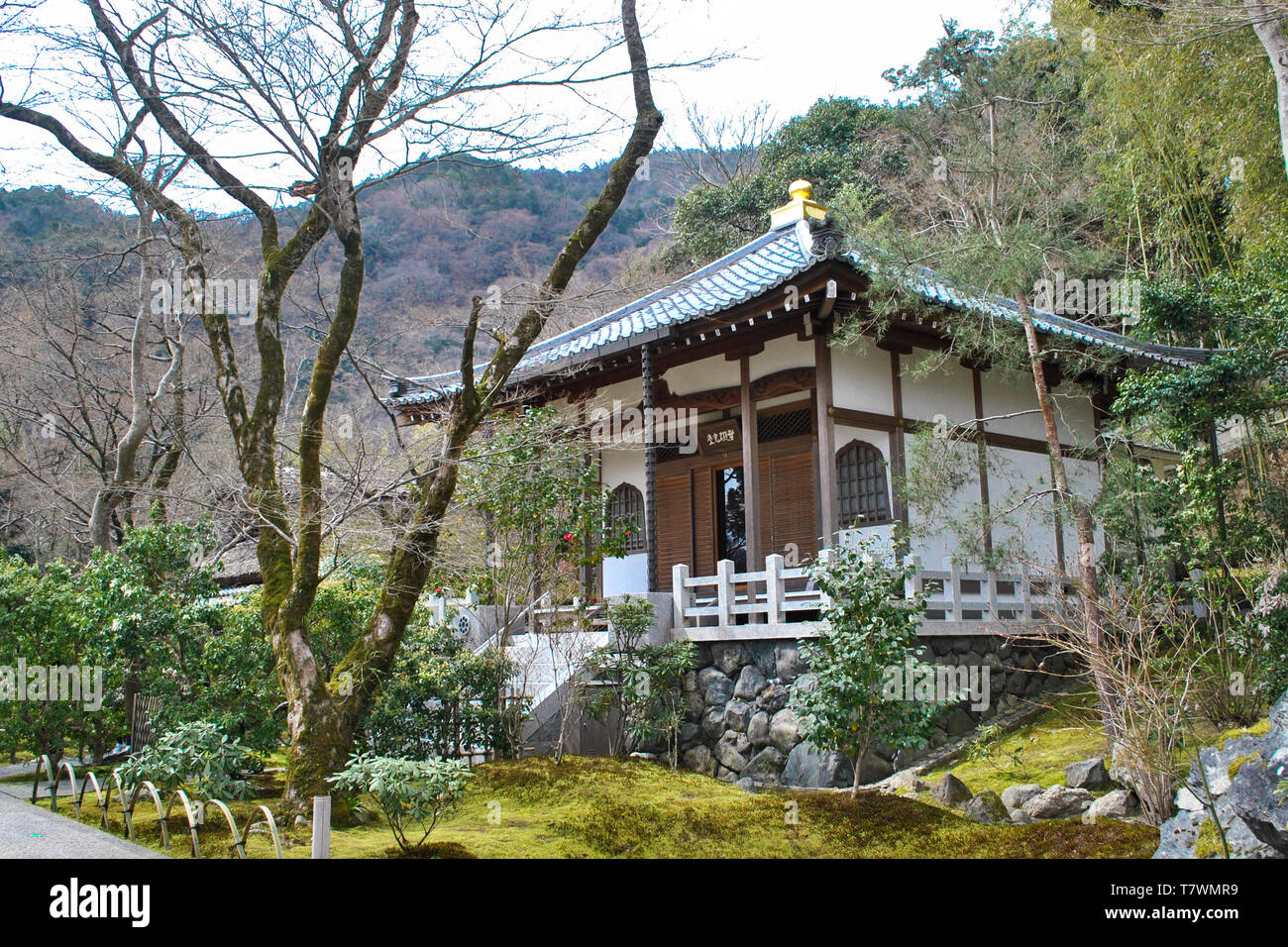 Ein Heiligtum genannt Hall des grenzenlosen Licht ist ein columbarium, wo die Asche der verstorbenen Gläubigen verankert sind. Hogon-in Tempel. Arashiyama, Kyoto, J Stockfoto
