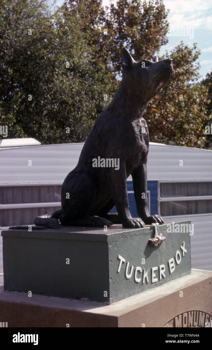 Der Hund auf dem TUCCURBOX DENKMAL, SCHLANGE GULLY, 5 Meilen von GUNDAGAI, New South Wales, Australien. Stockfoto