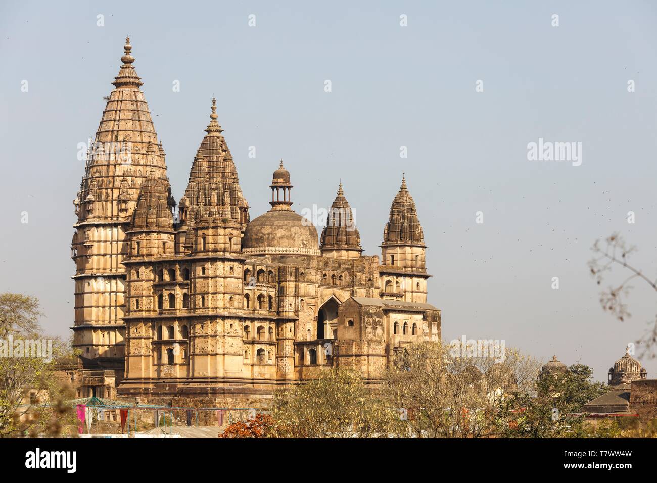 Indien, Madhya Pradesh, Orchha, Chaturbhuj Tempel Stockfoto