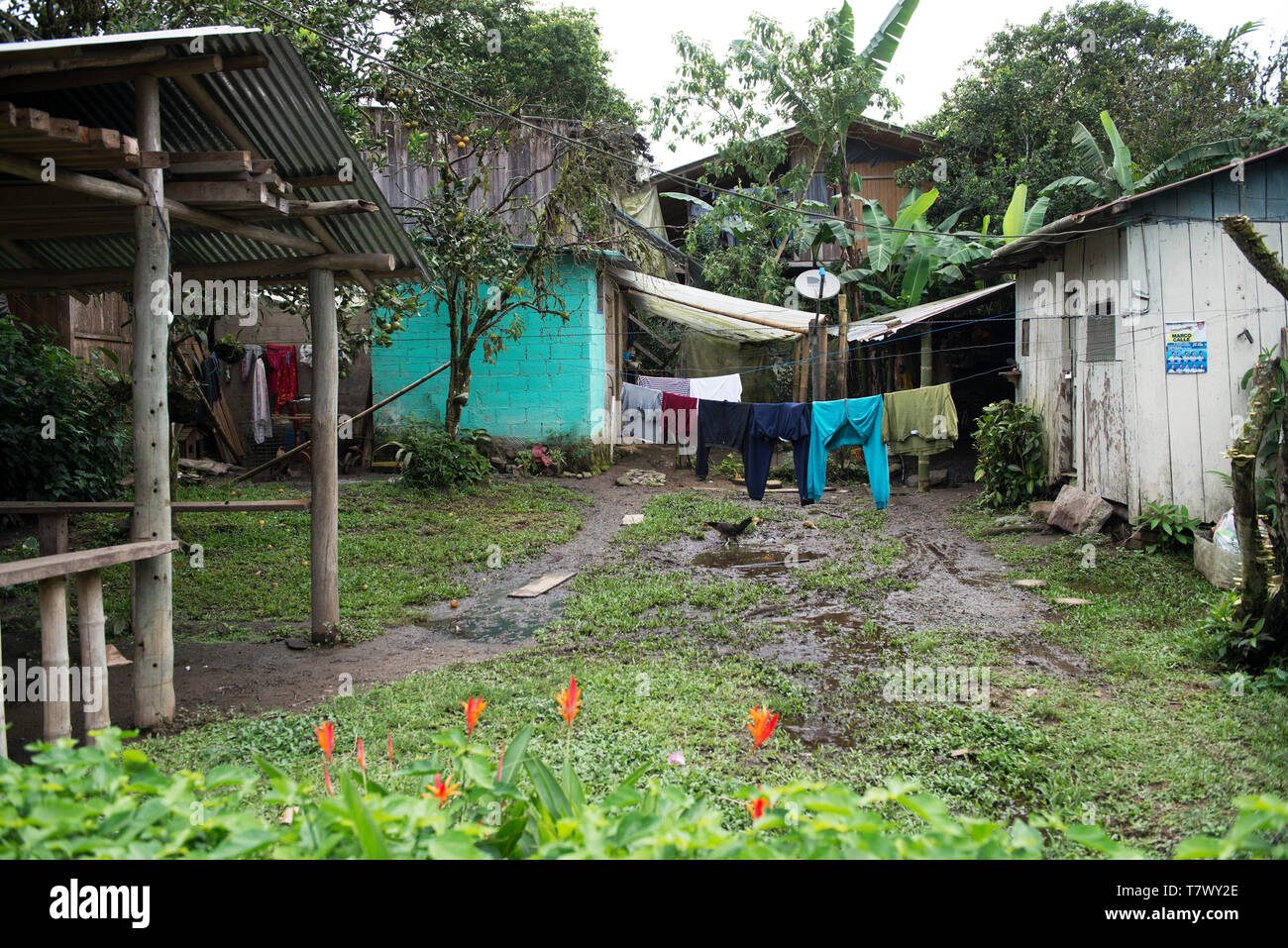 Mindo im Zentrum von Ecuador ist die Heimat einer Schokoladenindustrie und gut von Touristen besucht. Stockfoto