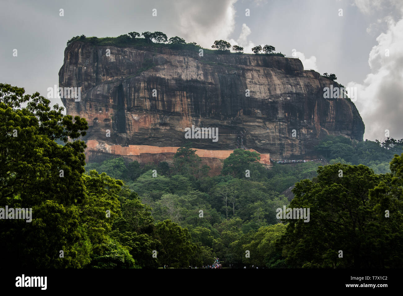 Sigiriya Felsen und Dschungel, Sri Lanka Stockfoto