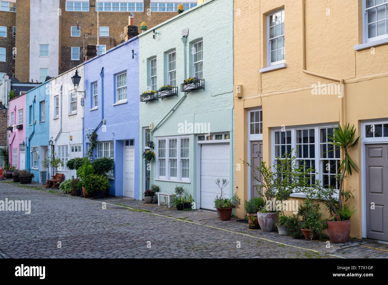 Bunt bemalten Häuser und kleine Bäume und Sträucher in Containern in Conduit Mews, Bayswater, London, England Stockfoto