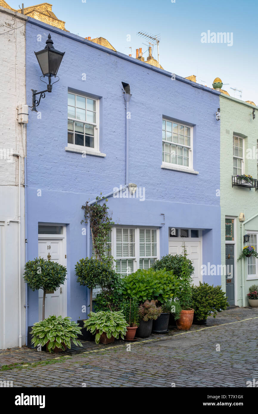 Blau lackiert Haus und kleine Bäume und Sträucher in Containern in Conduit Mews, Bayswater, London, England Stockfoto