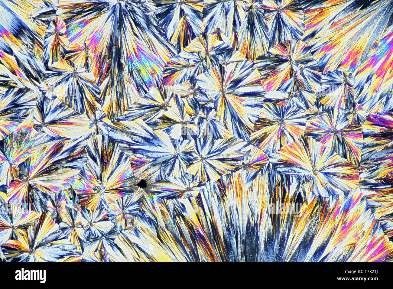 Kristalle von Zitronensäure, eine gemeinsame Konservierungsmittel Stockfoto