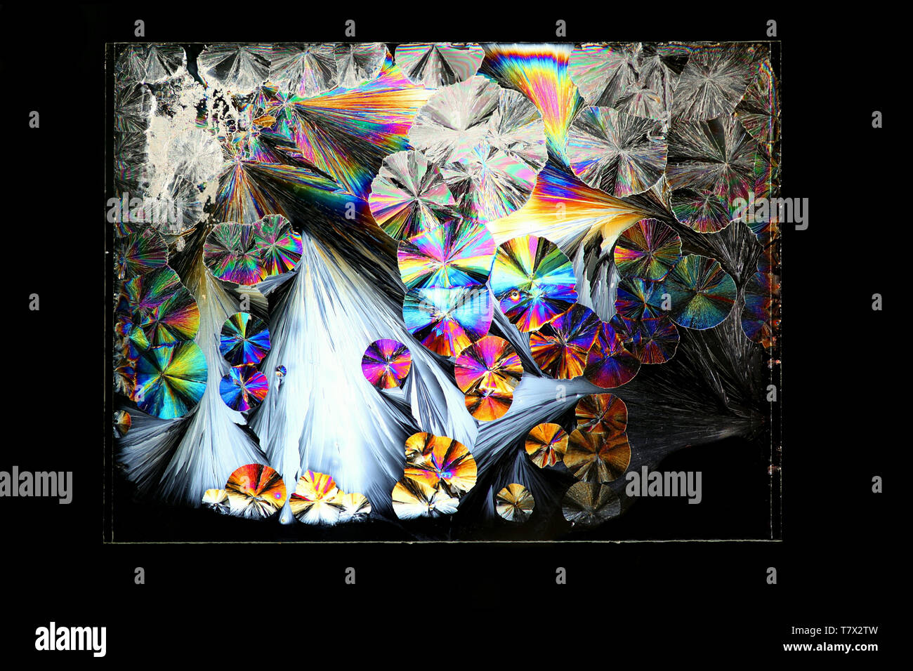 Kristalle von Zitronensäure, Konservierungsmittel, ein gemeinsames Essen im Cross fotografiert - polarisiertes Licht Stockfoto