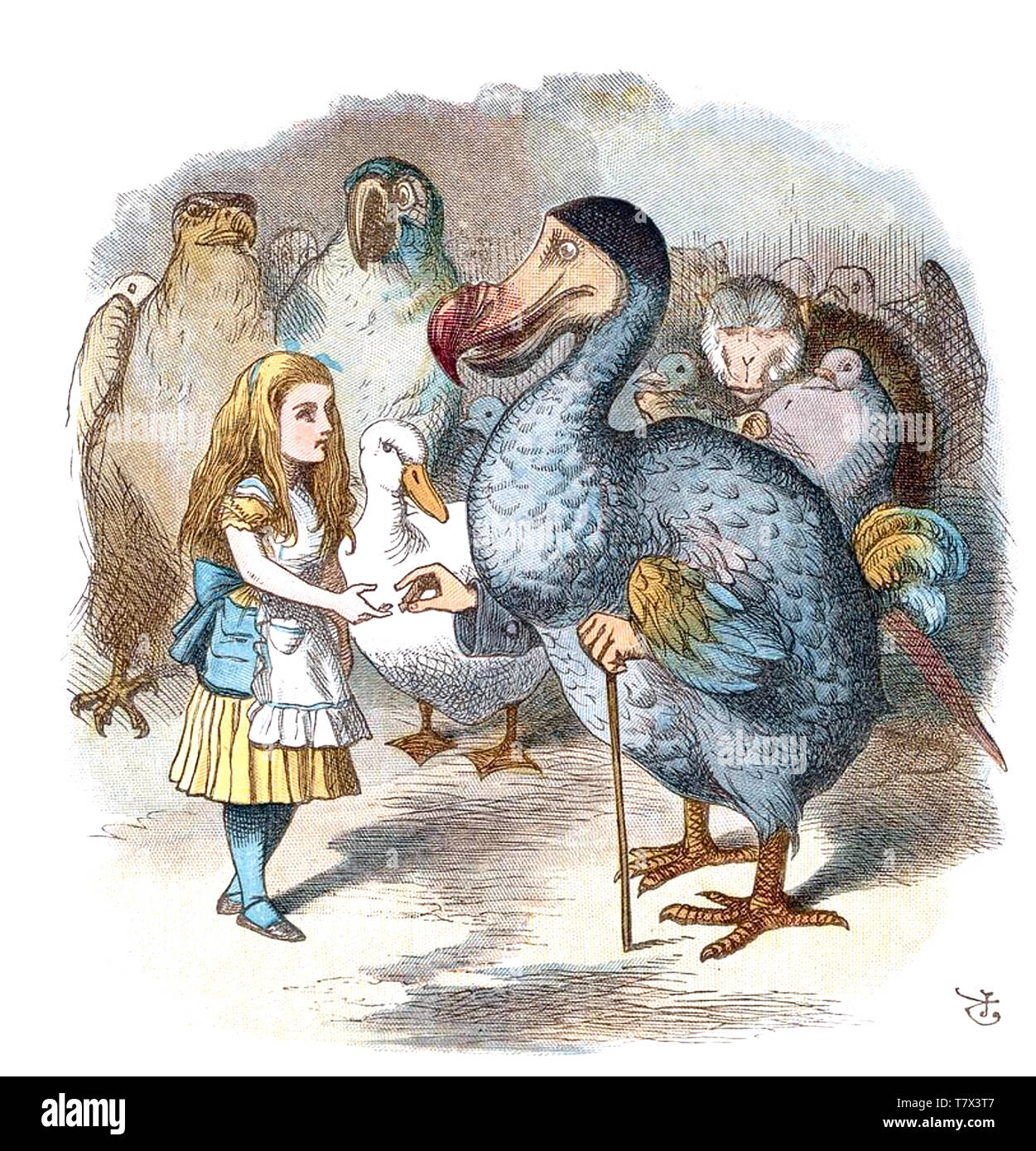 ALICE's Adventures in Wonderland Alice erfüllt die Dodo in einer John Tenniel Abbildung aus der Originalausgabe von 1865 Buch von Lewis Carroll Stockfoto