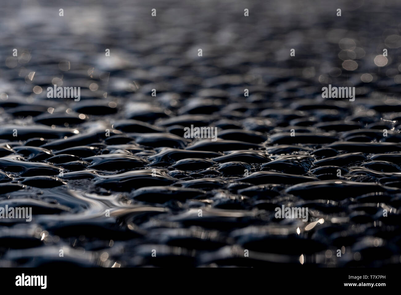 Makro Bild von Wasser Raupe (Tau) auf einem Schwarz Metallic Oberfläche Stockfoto