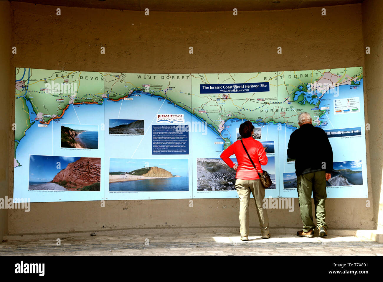 Lyme Regis, Dorset - ältere Touristen anzeigen Der Jurassic Coast World Heritage Site map, 2019 Stockfoto