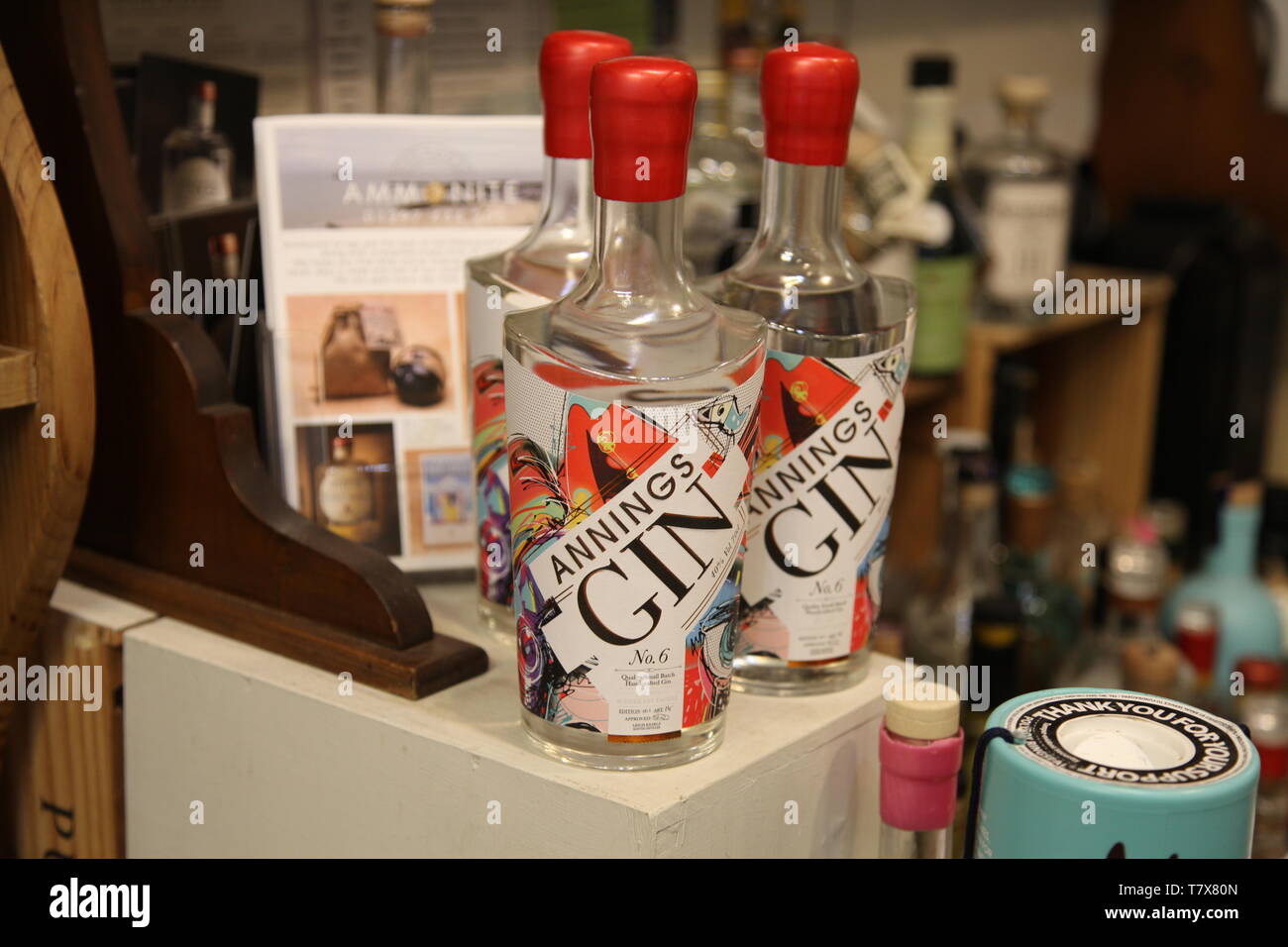 Lyme Regis, Dorset - Manning Gin, ein Luxus Marke britischen Gin label namens Nachdem Mary Anning, auf Anzeige im Shop Stockfoto