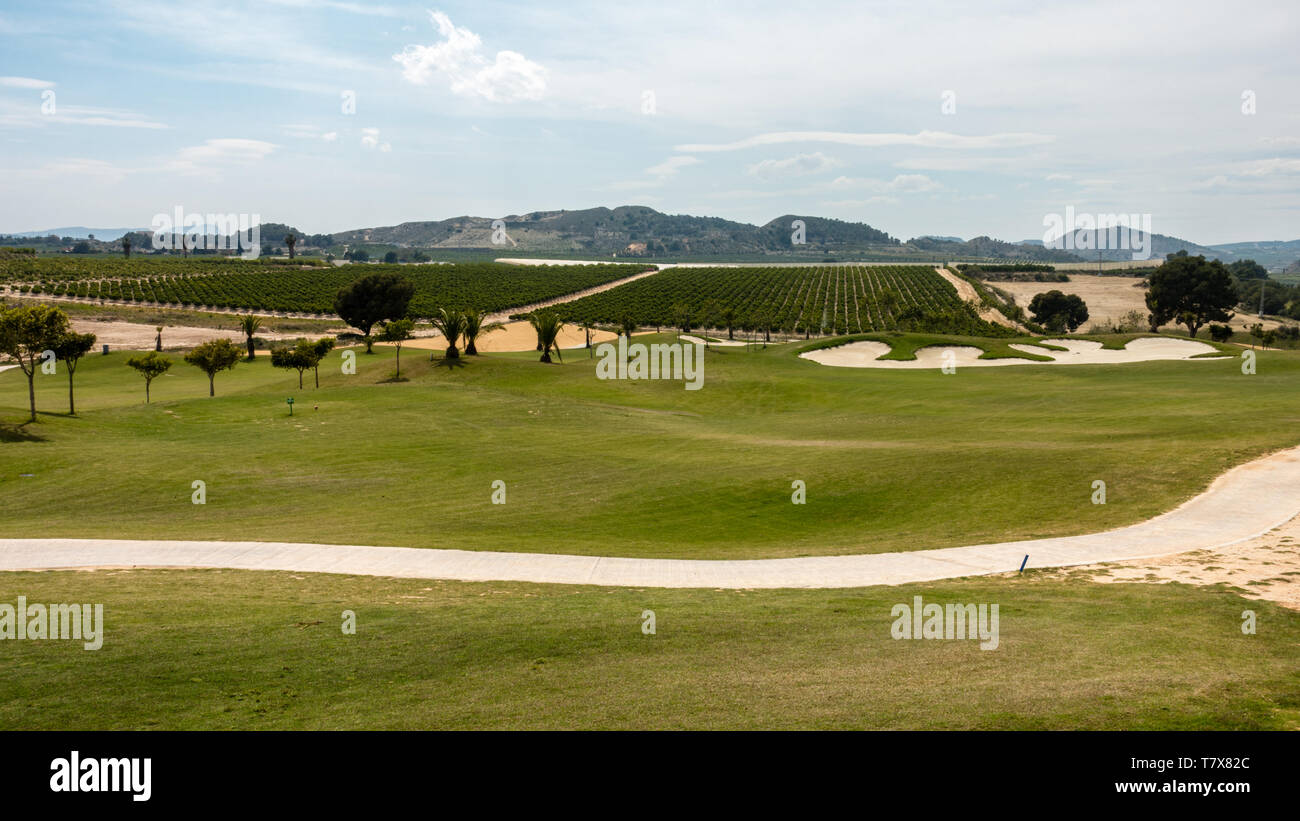 Golf trifft Landwirtschaft Stockfoto