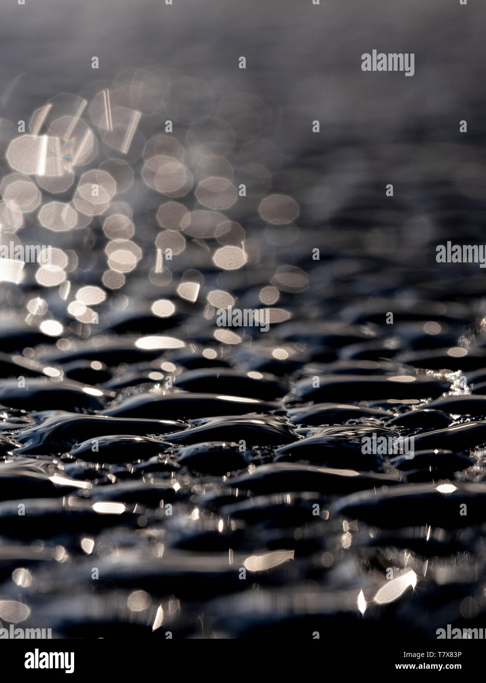 Makro Bild von Wasser Raupe (Tau) auf einem Schwarz Metallic Oberfläche Stockfoto