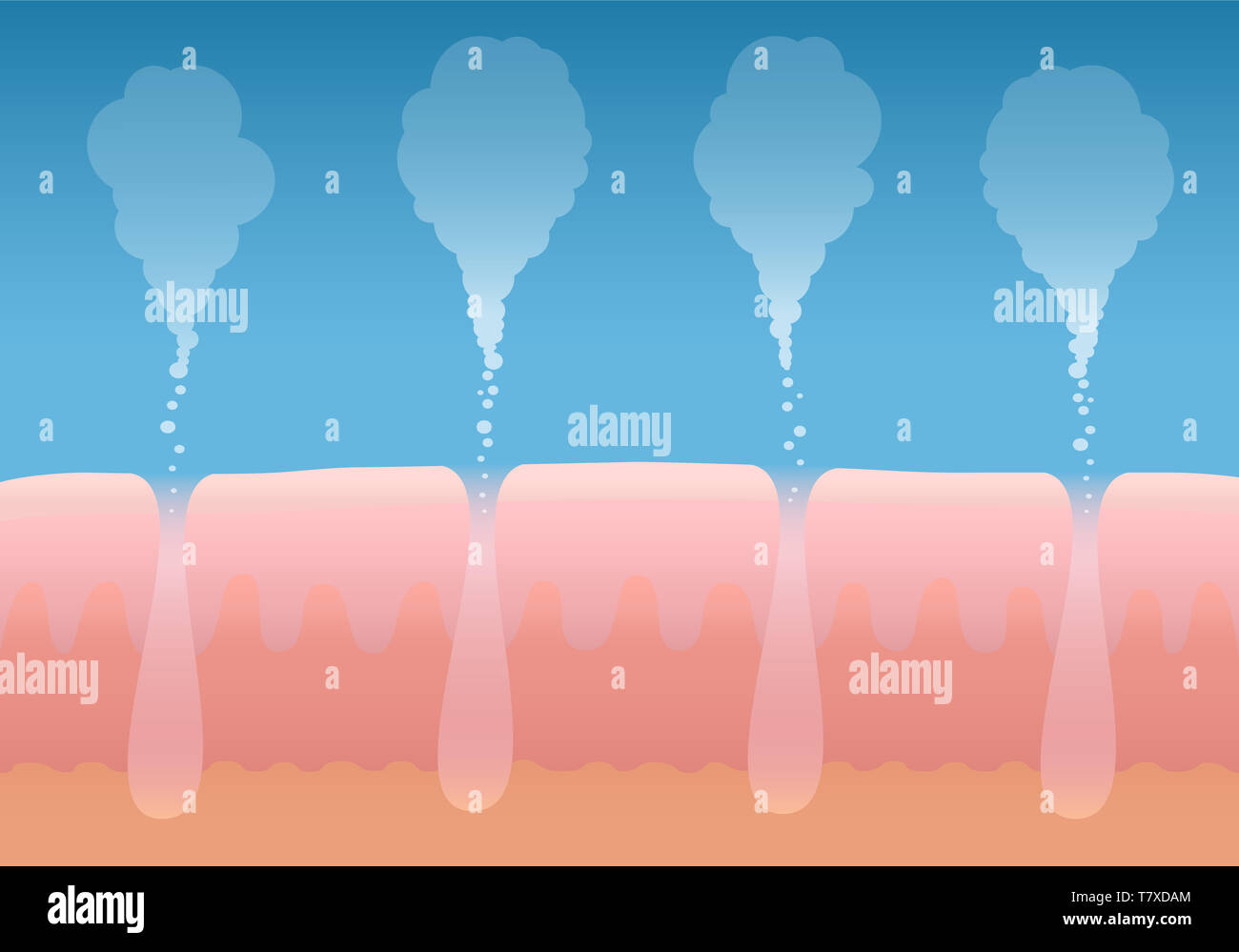 Haut atmen. Die menschliche Haut- Atmung. Schematischer Querschnitt Abbildung: Schichten der Haut mit Poren und der Gasaustausch. Stockfoto