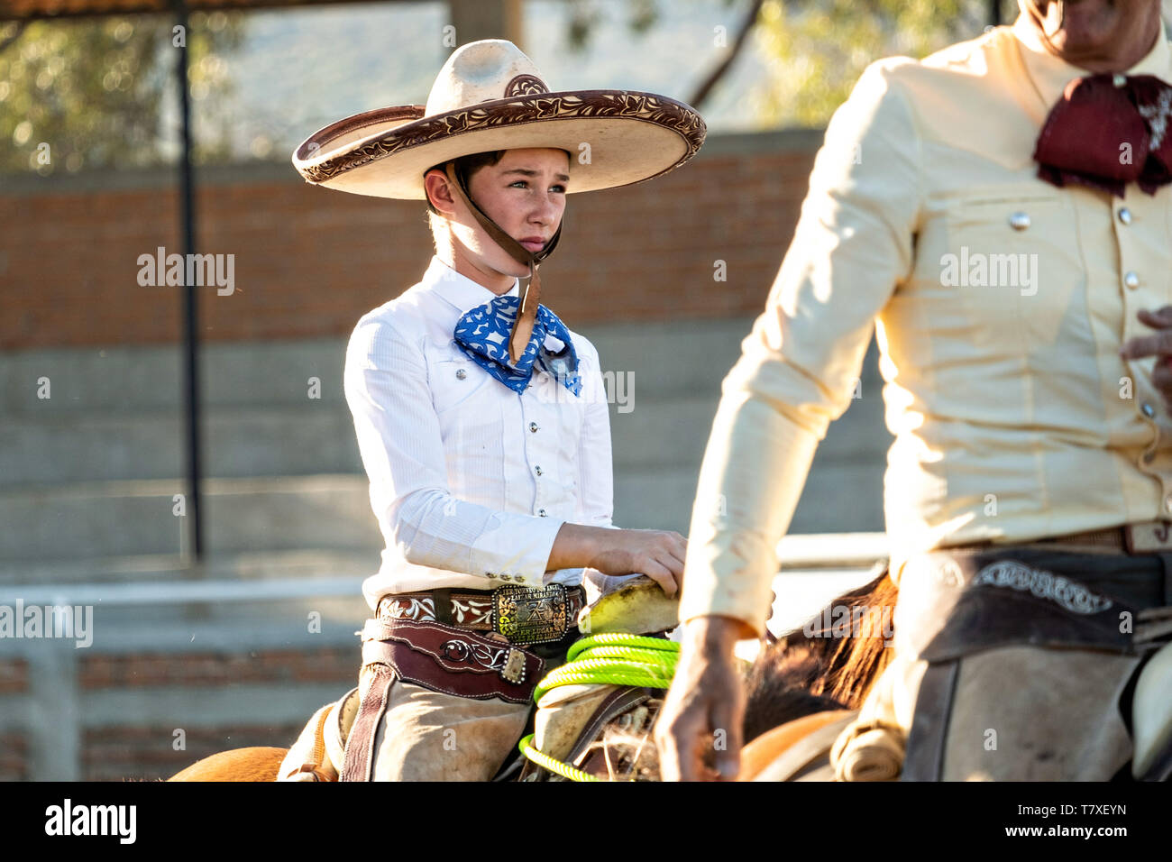 Juan Franco, Jr. auf dem Rücken der Pferde bei der Familie Charreria Practice Session in der jalisco Hochland Stadt Capilla de Guadalupe, Mexiko. Der Franco-Familie hat den mexikanischen Rodeo für 40 - Jahre beherrscht und hat drei nationale Meisterschaften, fünf zweite Plätze und 5 dritte Plätze gewonnen. Stockfoto