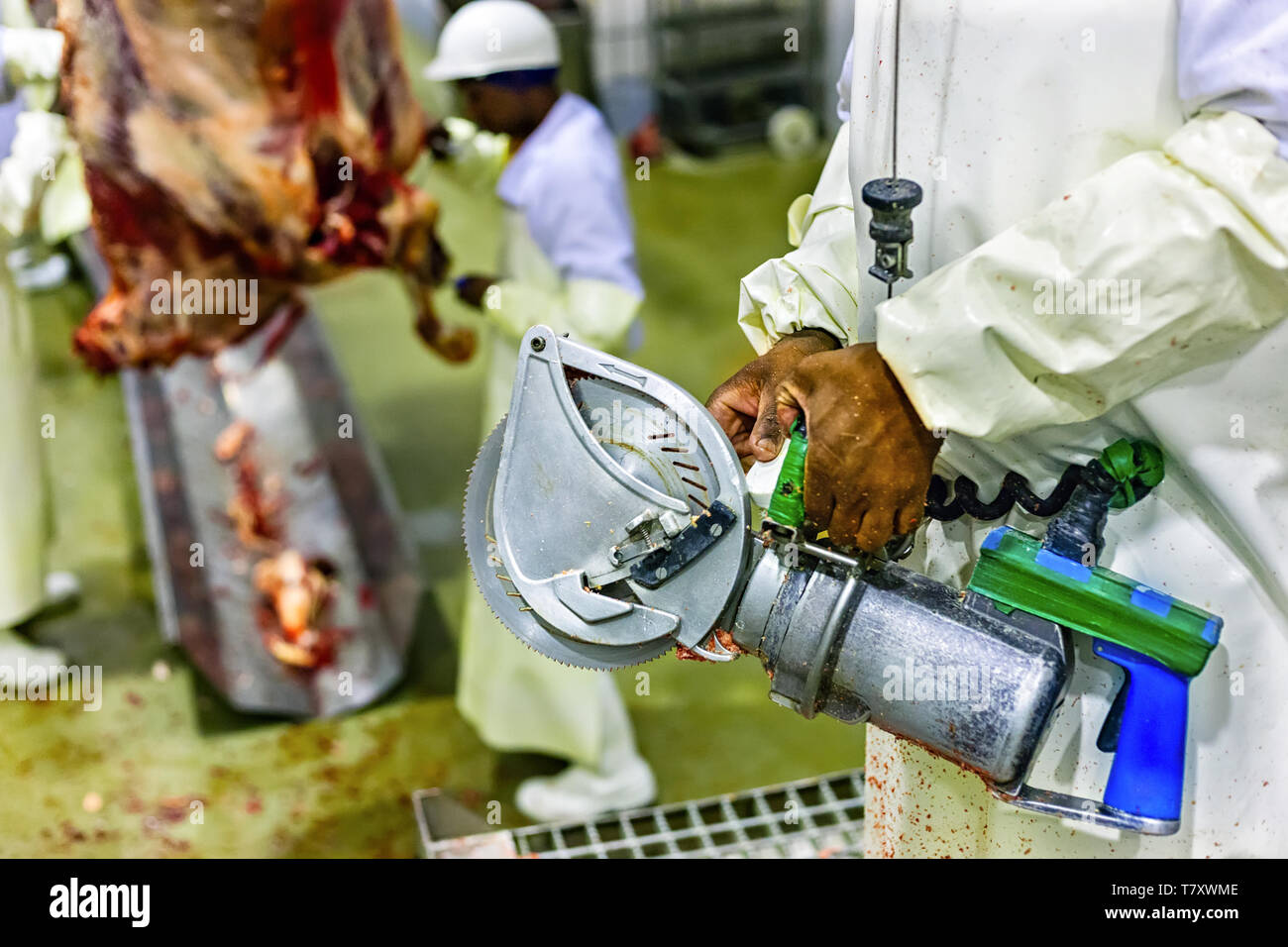 Afrikanische Metzger Verarbeitung von rohem Fleisch in einer Fabrik Stockfoto