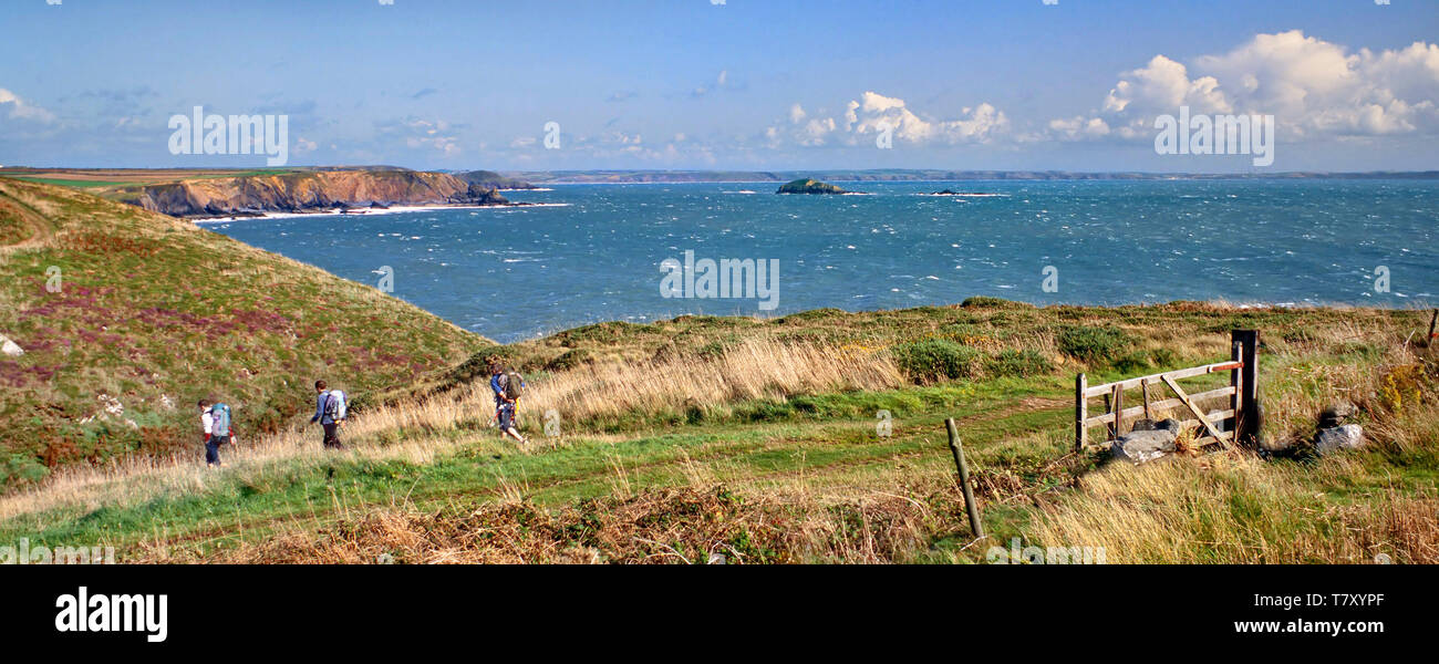 Küstenlandschaft, St Brides Bay, Blick nach Süden, Wanderer auf dem Küstenweg, Pembrokeshire, Wales Stockfoto