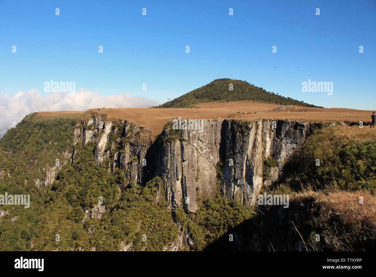 Wanderwege in der Natur, in atemberaubende Landschaften. Diese Routine zu entfliehen ist eine Art von Bewegung im Freien, die den gesamten Körper modellieren können, erhöhen intellec Stockfoto