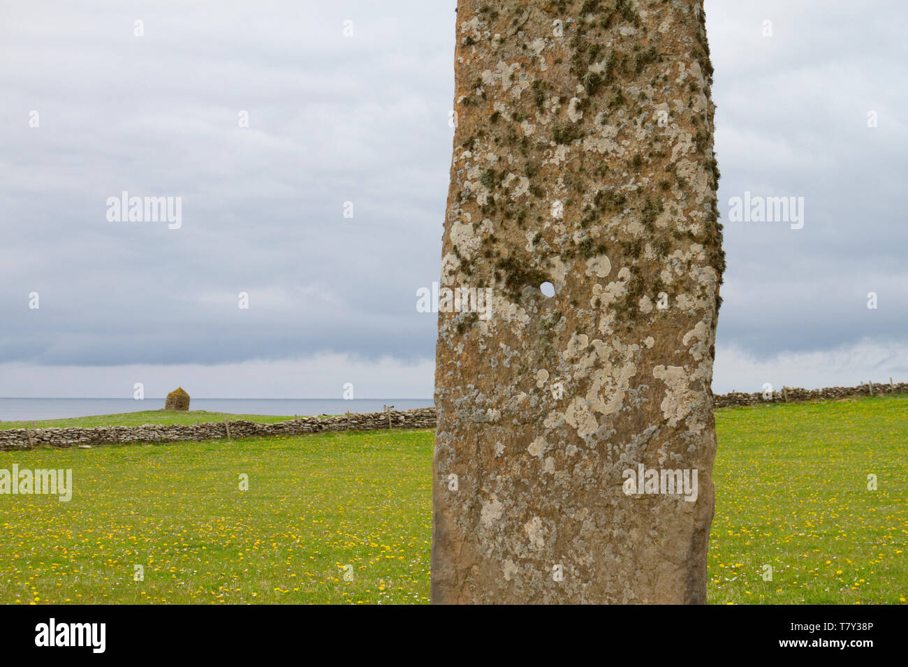 Sentinel Stein mit Loch, North Ronaldsay Stockfoto