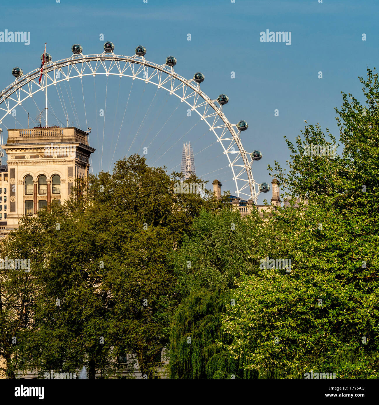 Blick von der St. James Park in London Eye und Whitehall, London, UK. Die Spitze der Shard in der Ferne. Stockfoto