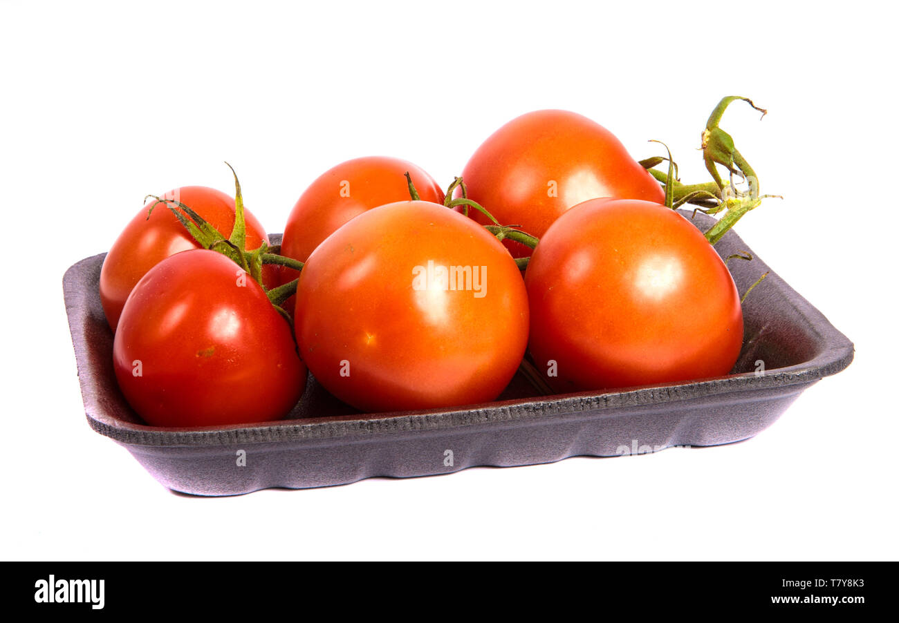 Reife rote Tomaten in einem dunklen Kunststoff Fach auf einem weißen Stockfoto