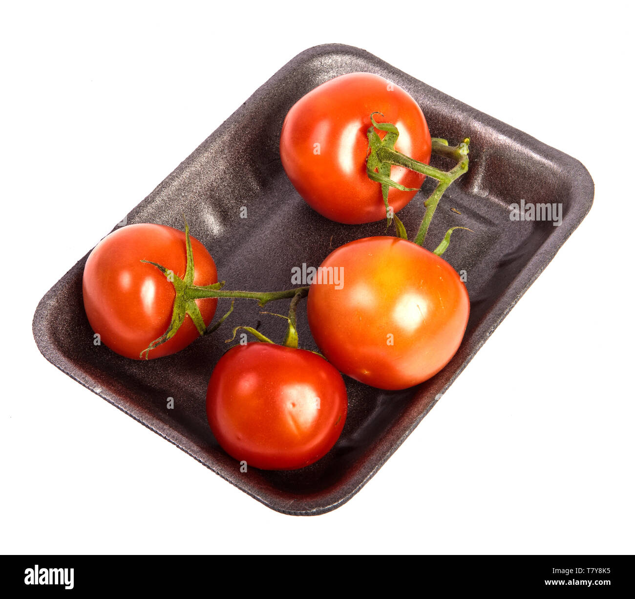Reife rote Tomaten in einem dunklen Kunststoff Fach auf einem weißen Stockfoto