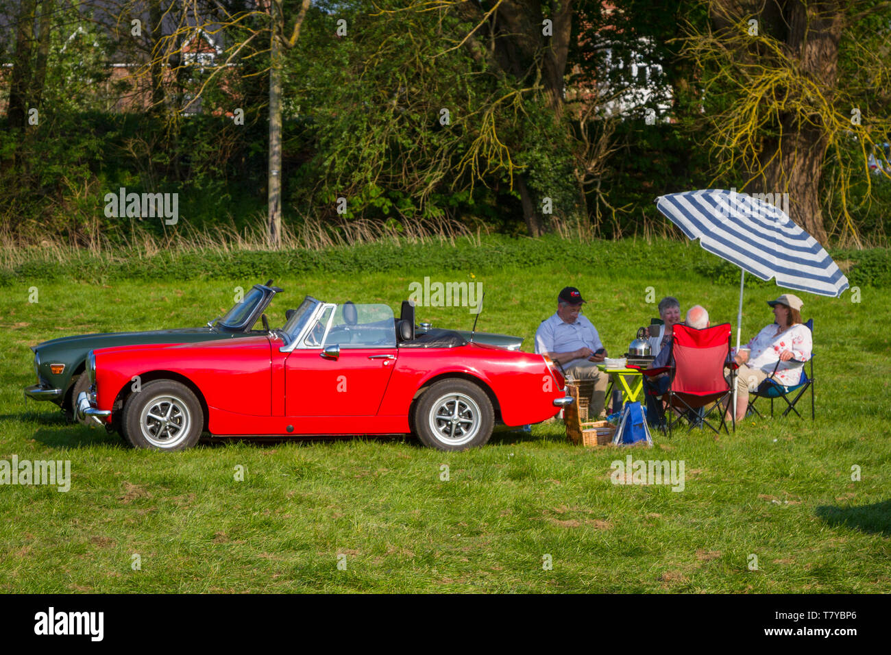 Zwei ältere Paare machen ein Picknick in der Abendsonne neben ihren klassischen englischen MG & Triumph Sportwagen in Wallingford, Oxfordshire Stockfoto