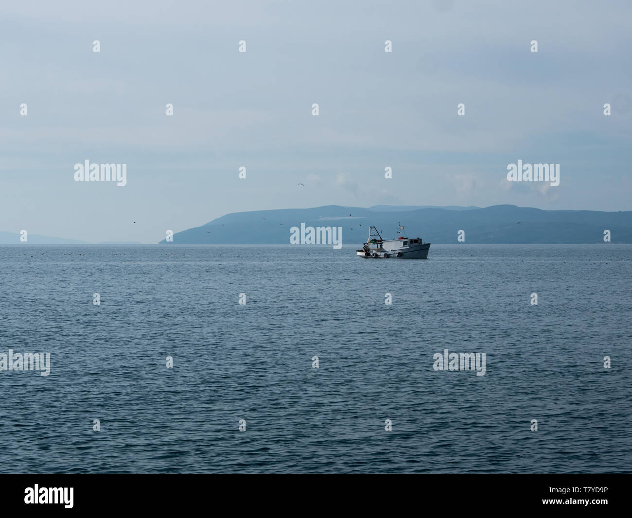 Kleines hölzernes Fischerboot und Möwen auf ruhiger See mit der Insel im Hintergrund Stockfoto