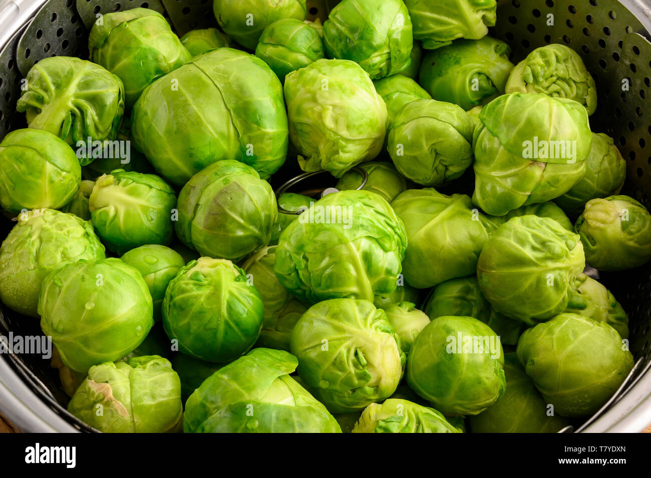 Raw Rosenkohl Dampfgarer Stockfoto