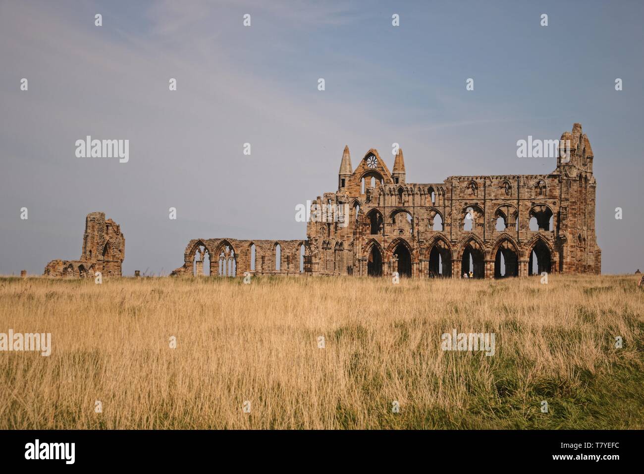 Whitby, England, UK. 20. April 2019. Gotische Yorkshire Wahrzeichen, Whitby Abbey, wieder eröffnet, nachdem ein £ 1,6 Mio. erneuern. © Natasha Camilleri - Freiberufliche P Stockfoto