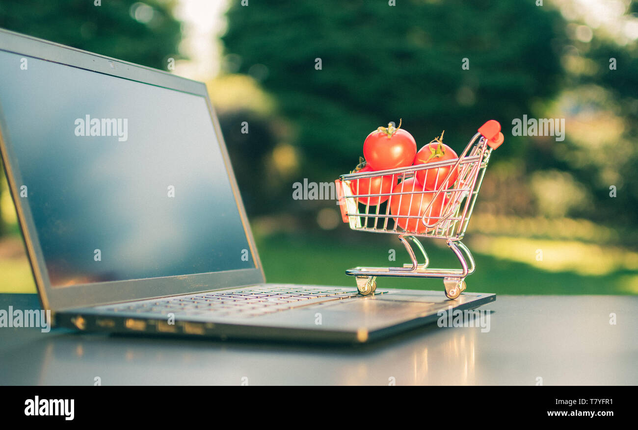 Konzept der Online Einkaufen. Ein Miniatur Warenkorb mit Tomaten steht ein Notebook. Stockfoto