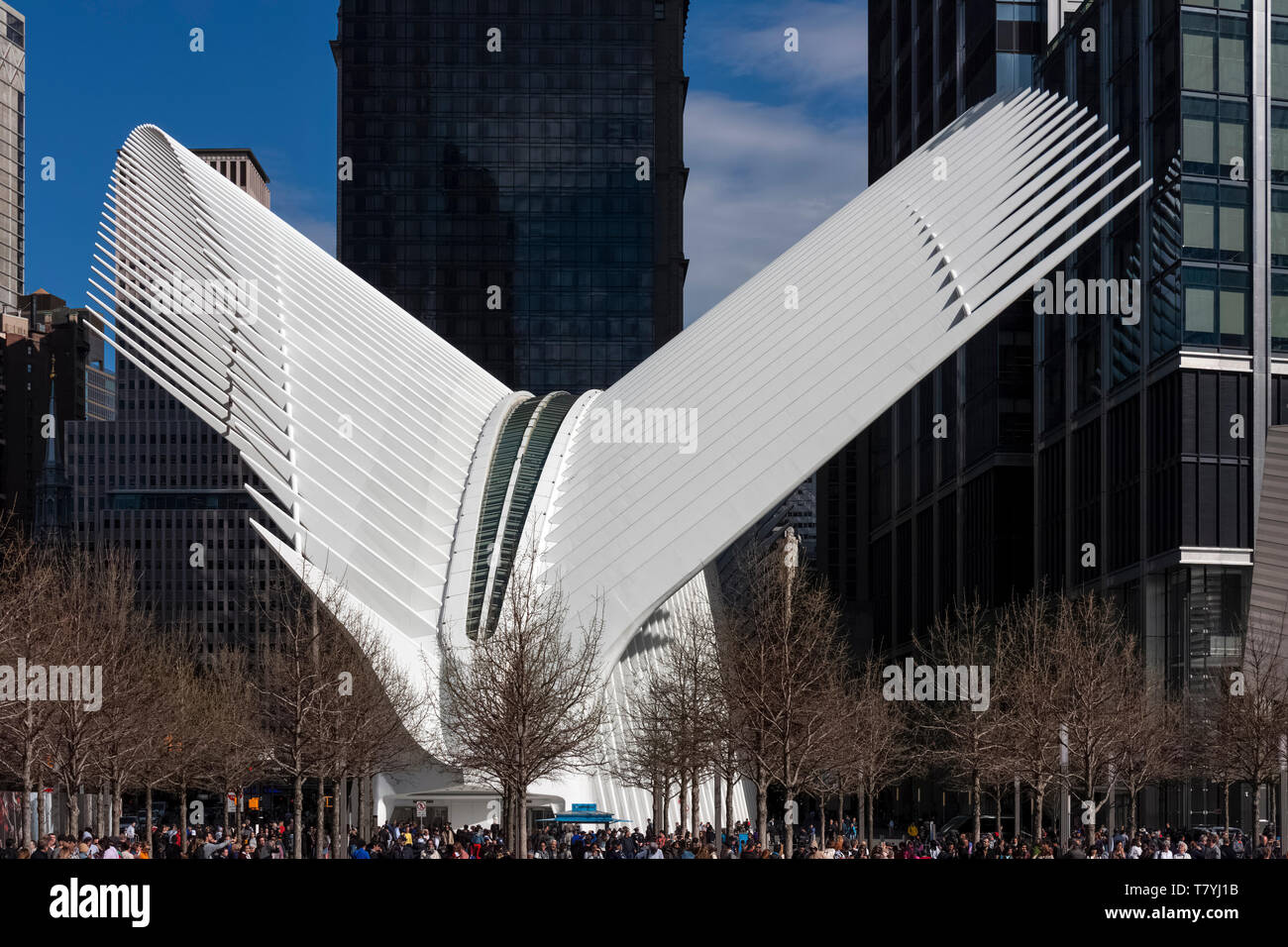 Die Oculus: World Trade Center Verkehrsknotenpunkt in Lower Manhattan, New York City, USA Stockfoto