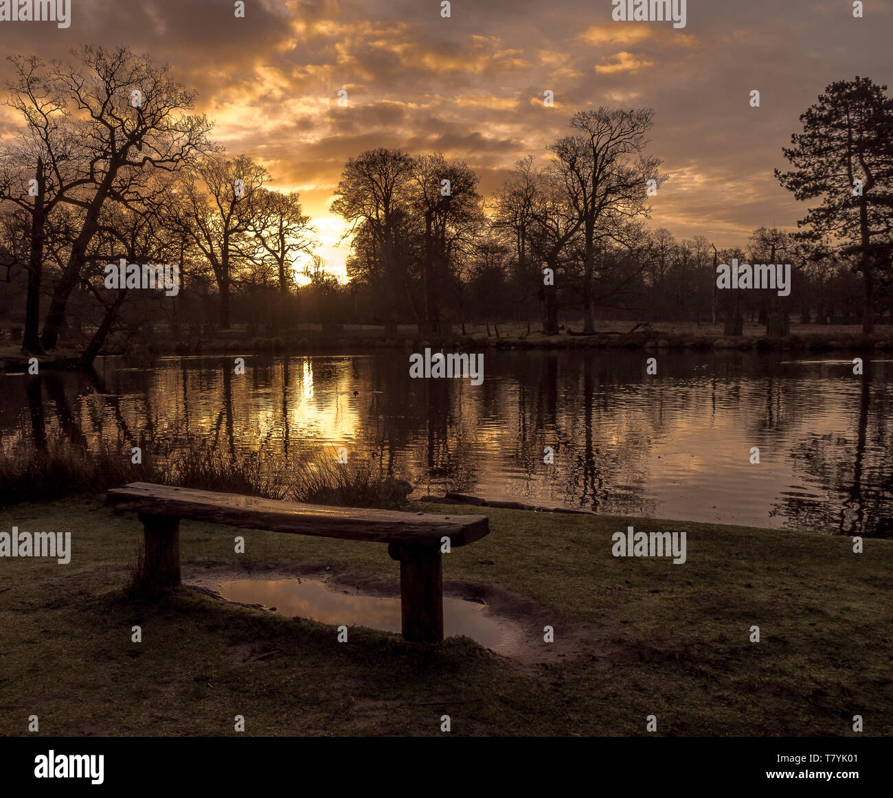 Dunham Massey, Cheshire, England. Sonne über einen noch auf morgen Teich. Sonnenstrahlen brechen die Wolken auf das Wasser widerspiegelt. Stockfoto