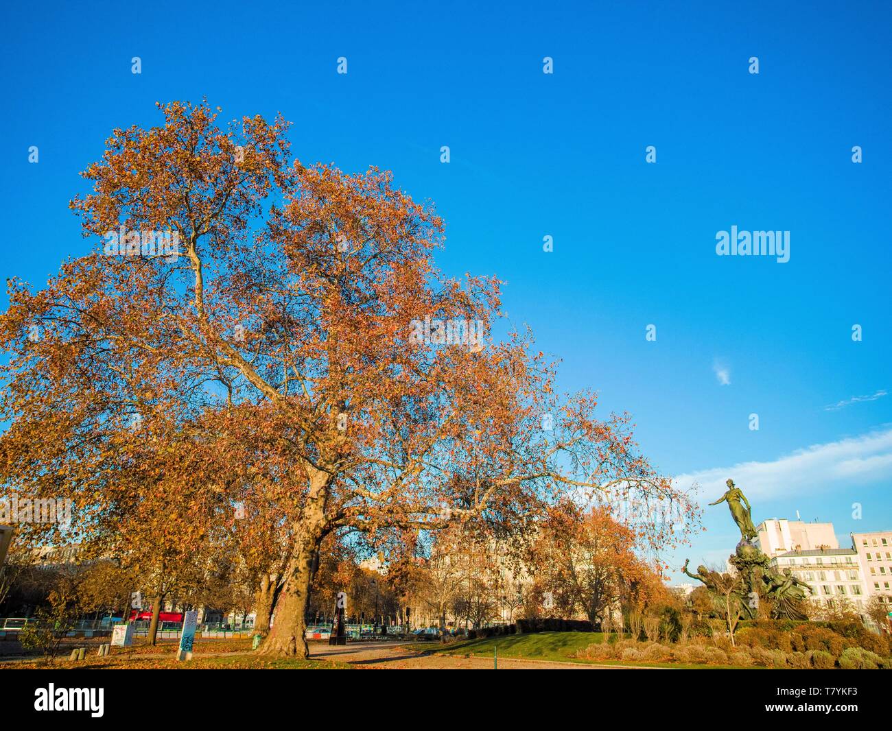 Frankreich, Paris, Bois de Vincennes im Herbst Stockfoto