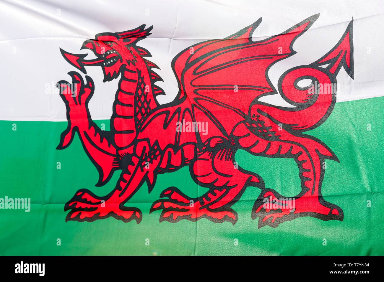 Vereinigtes Königreich, Wales, Pembrokeshire, Tenby, Flagge von Wales Stockfoto