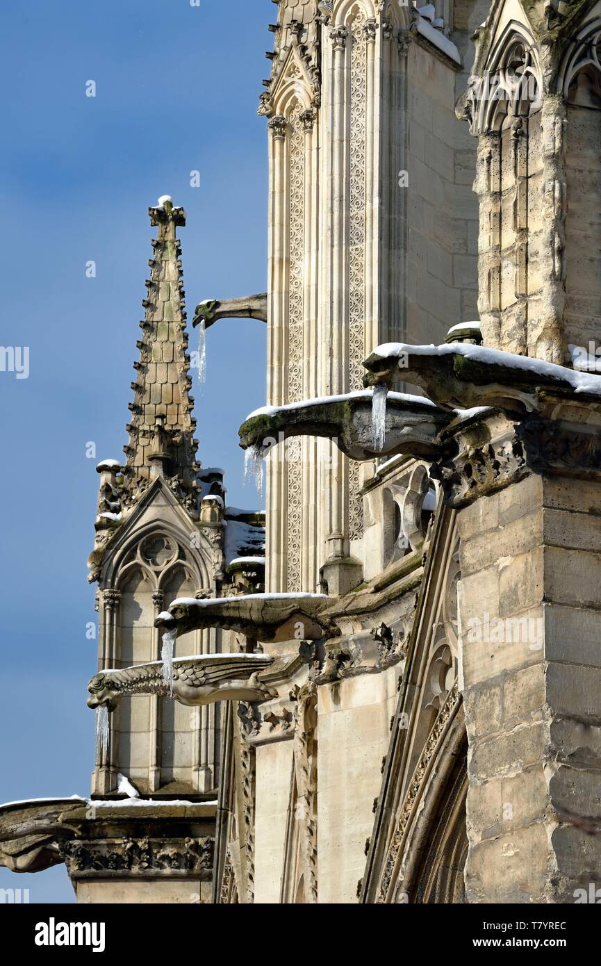Frankreich, Paris, Bereich als Weltkulturerbe von der UNESCO, die Ufer der Seine, Welterbe der UNESCO, die Kathedrale Notre Dame unter den Schnee auf der Ile de la Cité, Wasserspeier Stockfoto