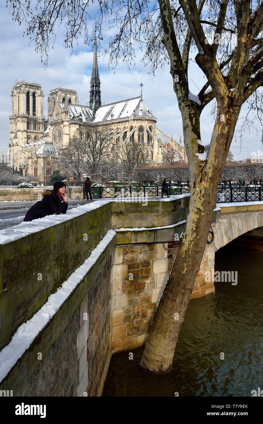 Frankreich, Paris, Bereich als Weltkulturerbe von der UNESCO, die Ufer der Seine, Welterbe der UNESCO, die Seine in der Flut an der Pont de l'(Erzbischof des Erzbistums's Bridge) und die Kathedrale von Notre Dame unter den Schnee auf der Ile de la Cité Stockfoto