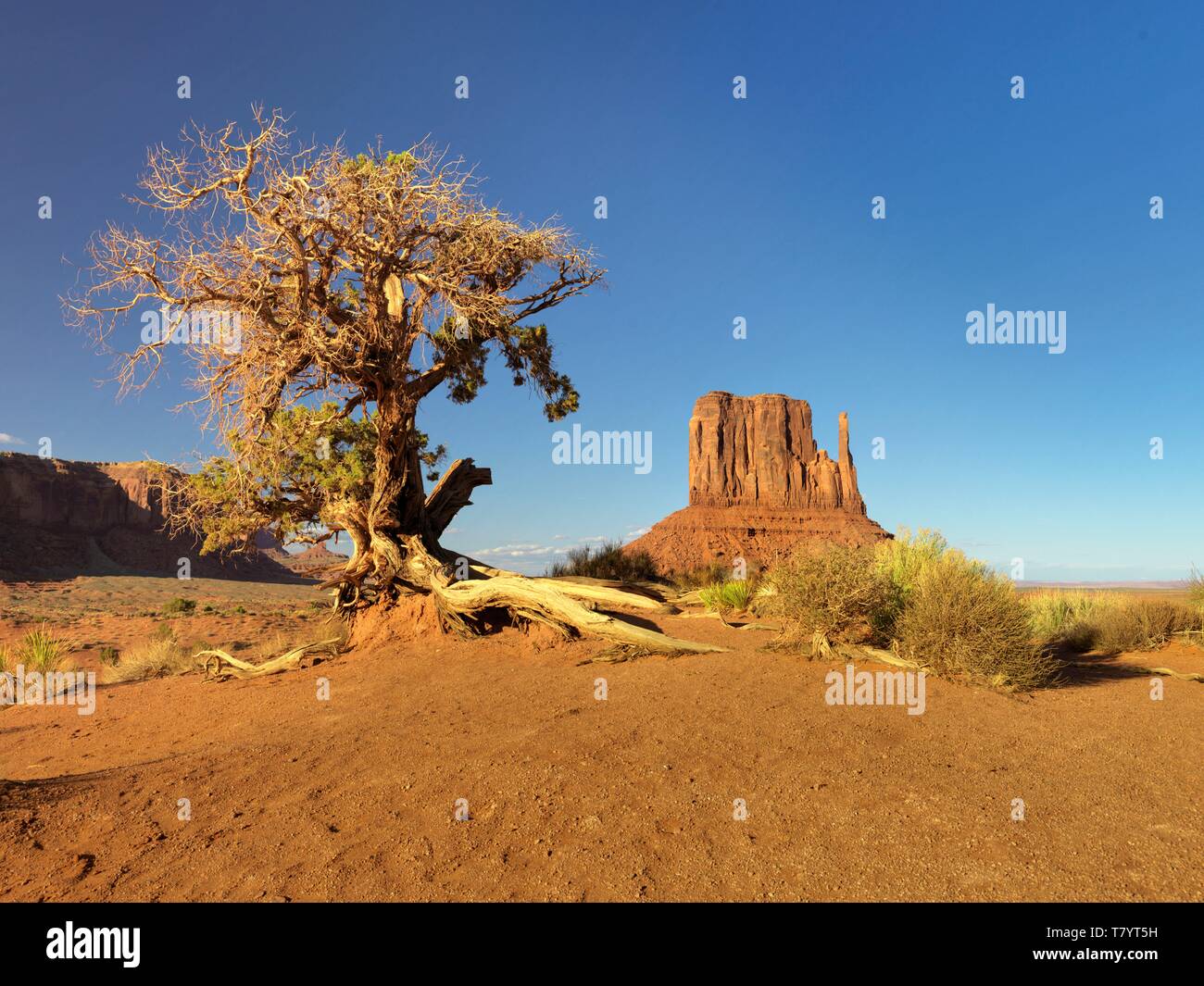 USA, Utah, Navajo-Nation, Monument Valley Stockfoto