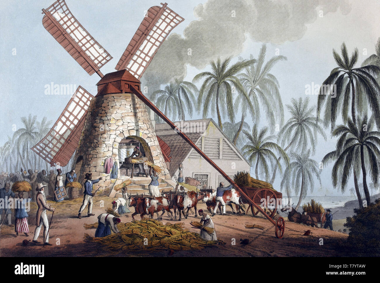 Sklaverei, Antigua Zuckerrohrplantage, 1823 Stockfoto