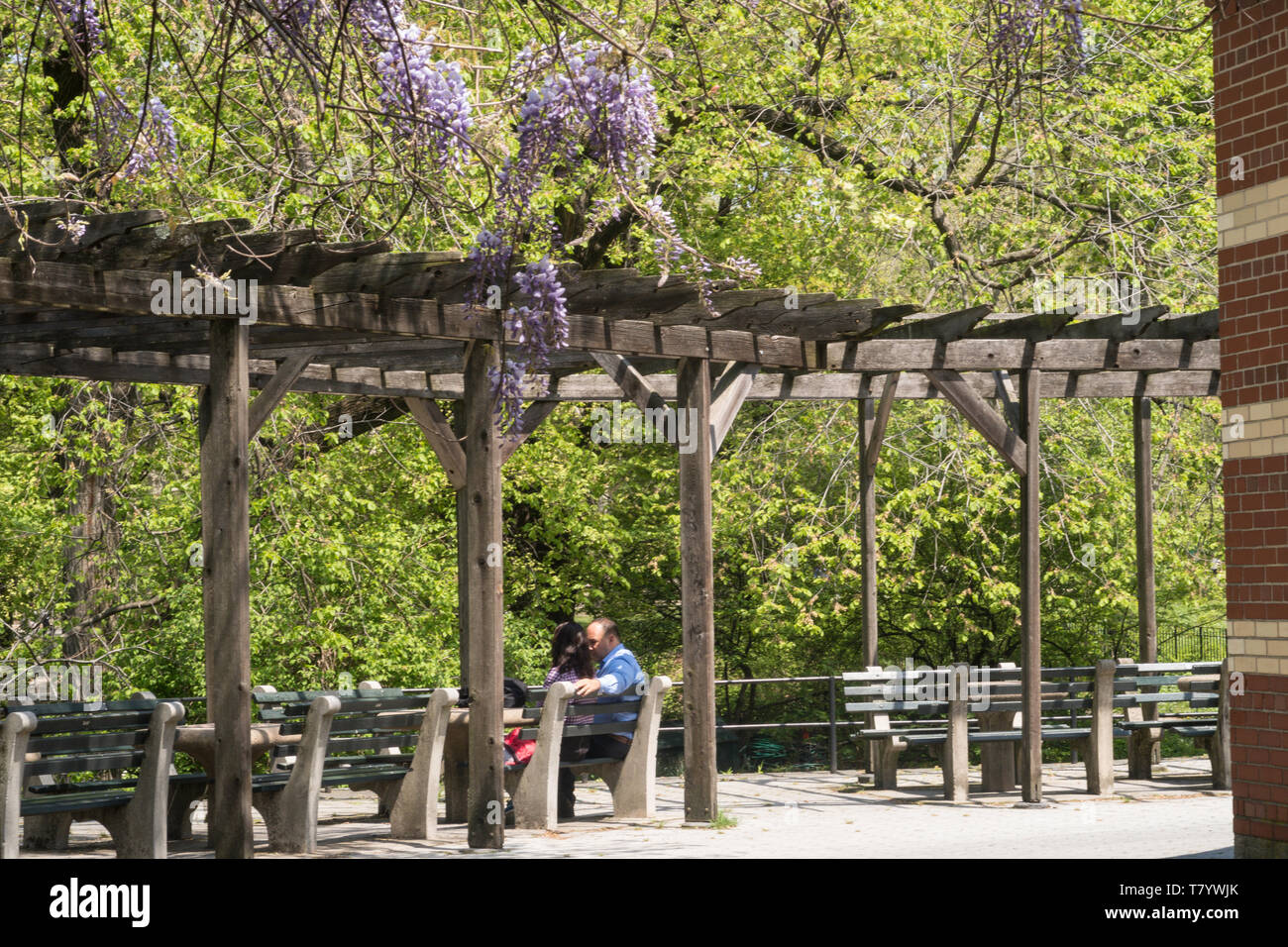Der Central Park in New York City ist sehr beliebt im Frühling, USA Stockfoto