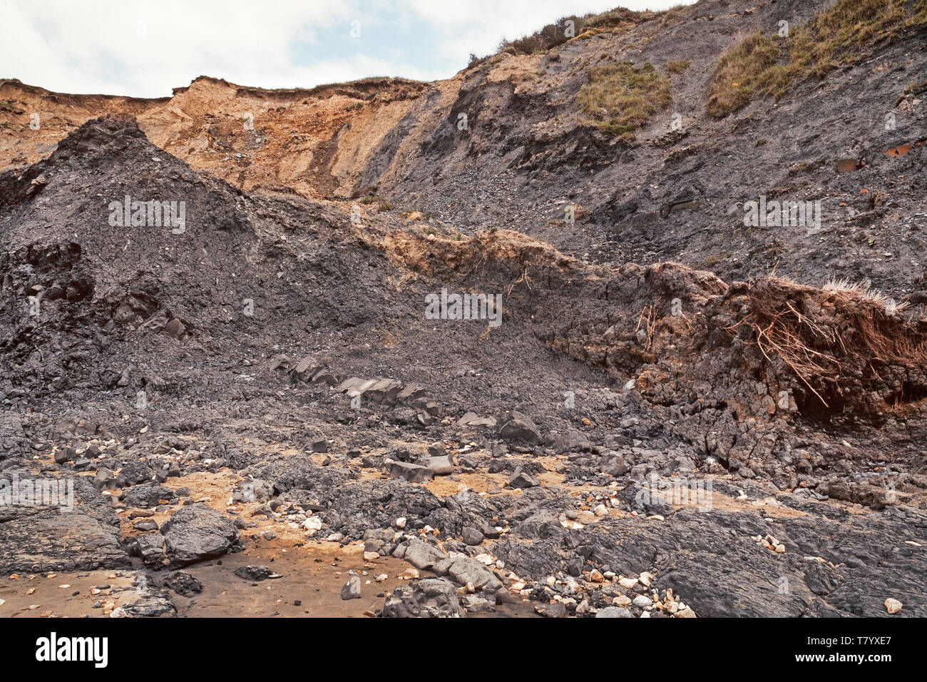 Fossile Jagdreviere, die Black Hills Charmouth, Dorset, Großbritannien Stockfoto